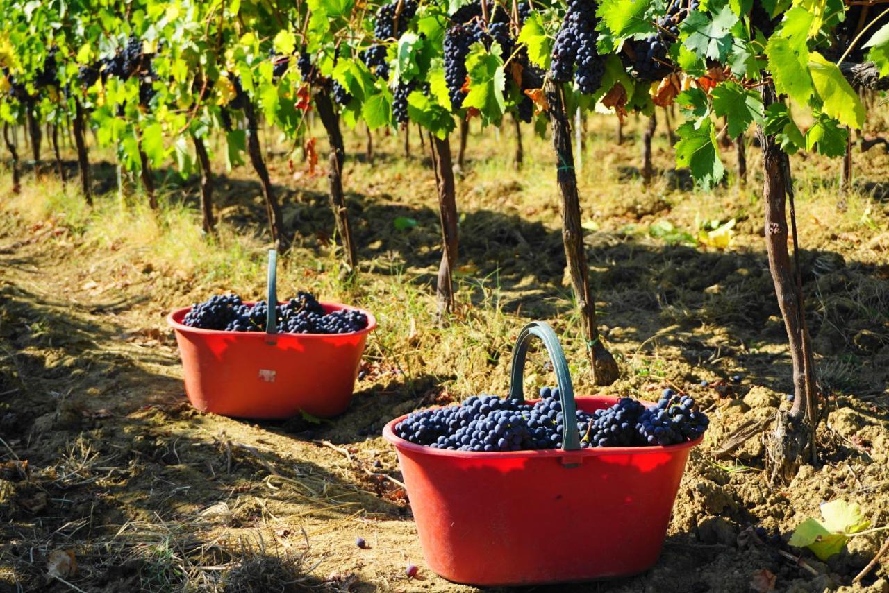 Villa Fattoria Lornano Winery Monteriggioni Exterior foto